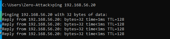 Connectivity validation — DNS resolution